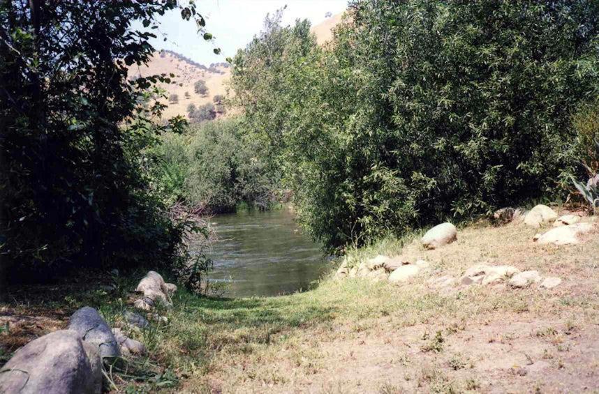 Sequoia Riverfront Cabins Three Rivers Room photo