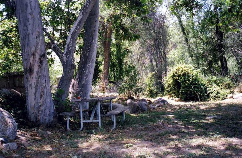 Sequoia Riverfront Cabins Three Rivers Room photo